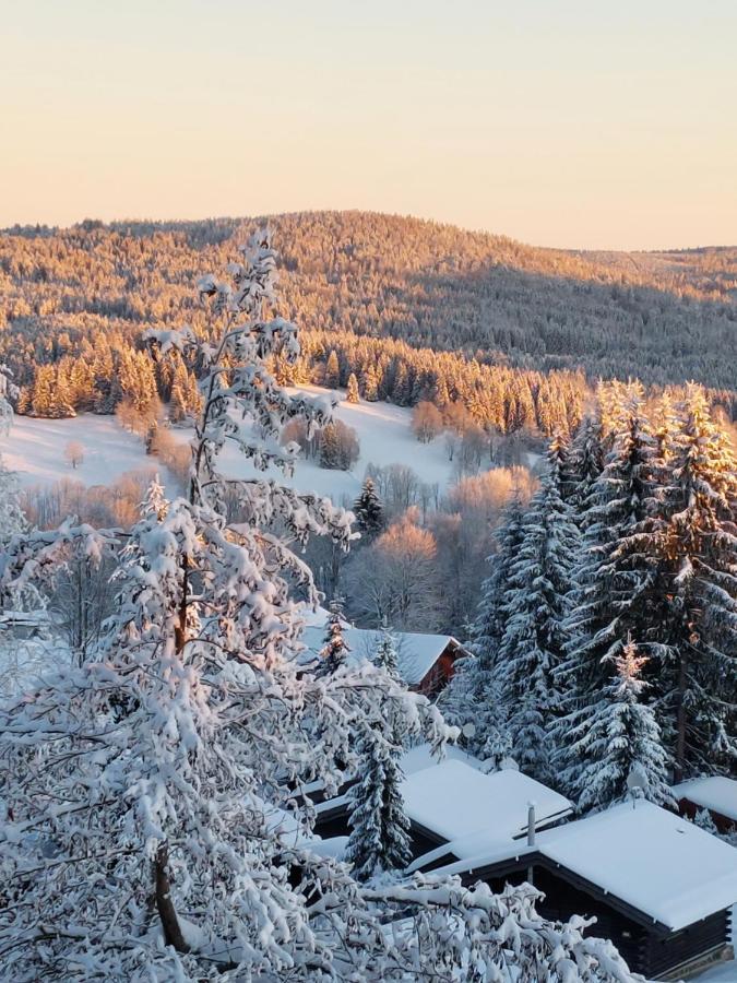 Apartment Almberg Mitterfirmiansreut Esterno foto