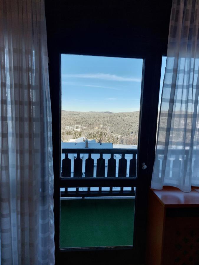 Apartment Almberg Mitterfirmiansreut Esterno foto
