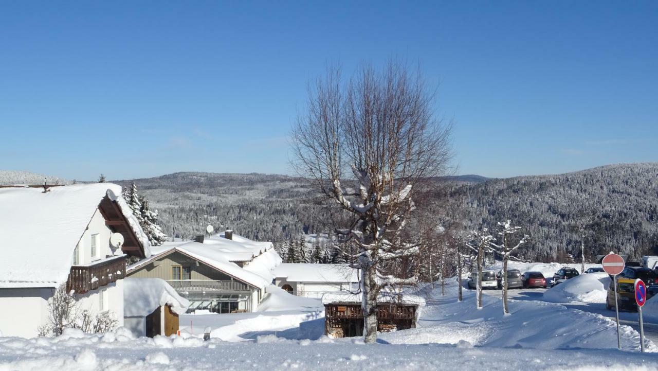Apartment Almberg Mitterfirmiansreut Esterno foto