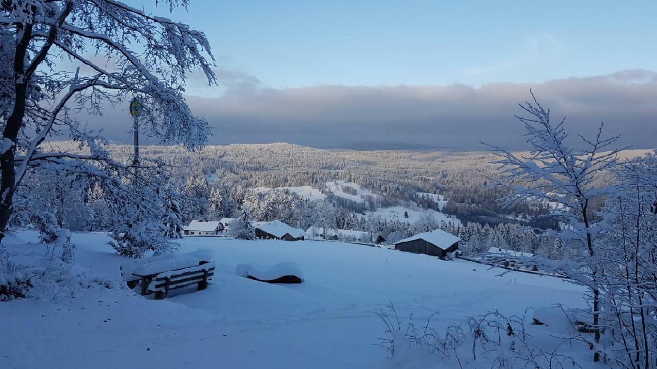 Apartment Almberg Mitterfirmiansreut Esterno foto