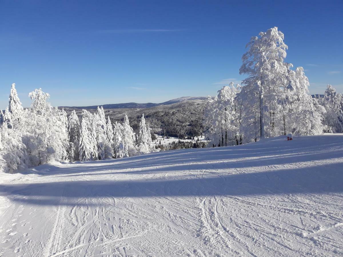 Apartment Almberg Mitterfirmiansreut Esterno foto