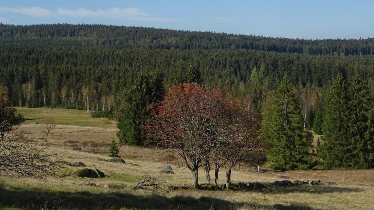 Apartment Almberg Mitterfirmiansreut Esterno foto