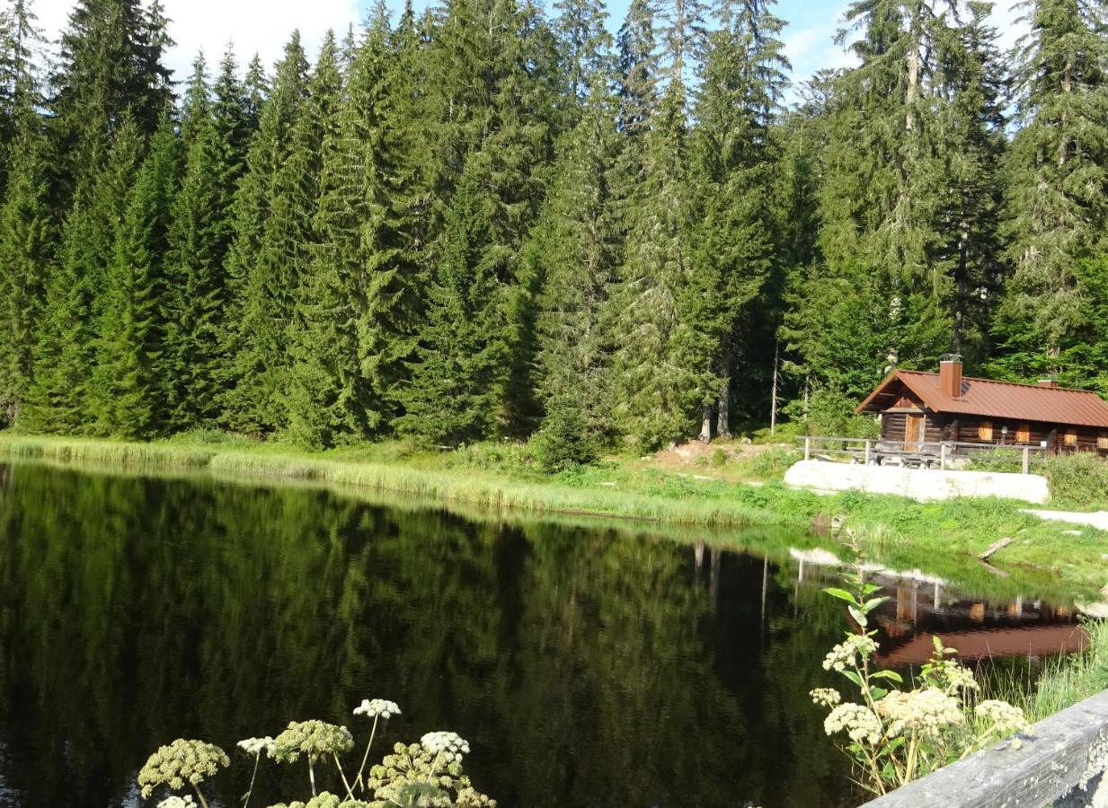 Apartment Almberg Mitterfirmiansreut Esterno foto